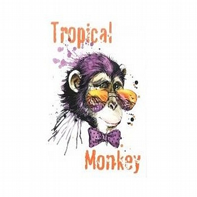 Πλαστικοποιημένος Φάκελος με λάστιχο Tropical Monkey - Skag