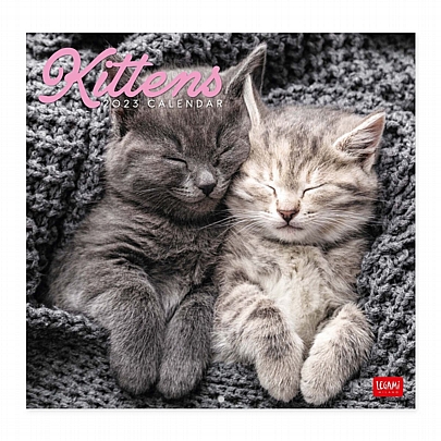 Μηνιαίο Ημερολόγιο Τοίχου 2023 - Lovely Kittens (30x29) - Legami