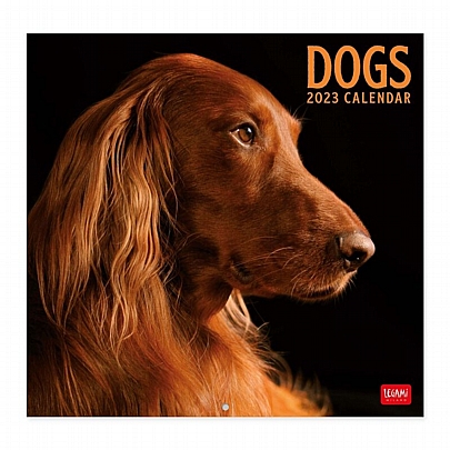 Μηνιαίο Ημερολόγιο Τοίχου 2023 - Lovely Dogs (30x29) - Legami