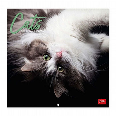 Μηνιαίο Ημερολόγιο Τοίχου 2023 - Lovely Cats (30x29) - Legami