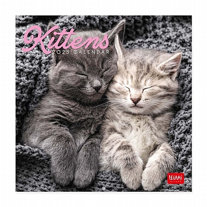 Μηνιαίο Ημερολόγιο Τοίχου 2023 - Kittens (18x18) - Legami