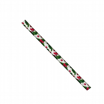 Χαρτί περιτυλίγματος - White Mistletoe (2m x 70cm) - Groovy