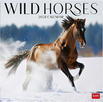 Μηνιαίο Ημερολόγιο Τοίχου 2024 - Wild Horses (30x29) - Legami