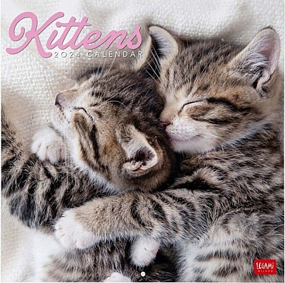 Μηνιαίο Ημερολόγιο Τοίχου 2024 - Kittens (30x29) - Legami