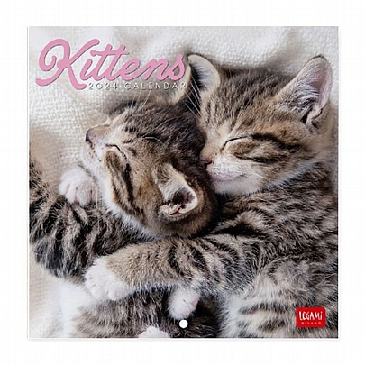 Μηνιαίο Ημερολόγιο Τοίχου 2024 - Kittens (18x18) - Legami
