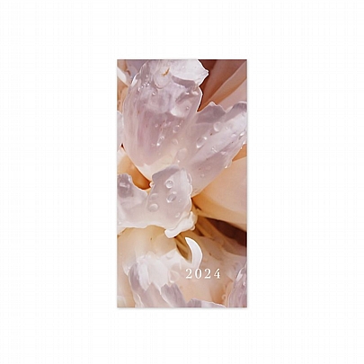 Εβδομαδιαίο Κάθετο Ημερολόγιο/Ατζέντα Aesthetic 2024 - Flower Petals (8.5x17) - AdBook