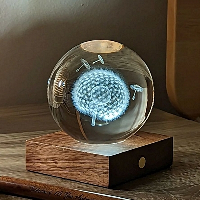 Φωτιστικό Amber Crystal Light 3D laser - Dandelion - Gingko