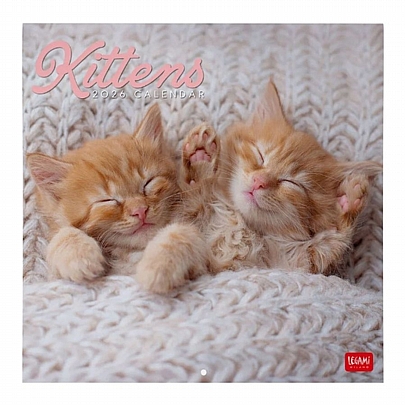 Μηνιαίο Ημερολόγιο Τοίχου 2026 - Kittens (30x29) - Legami