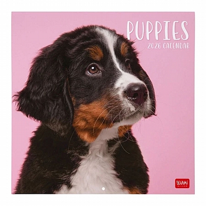 Μηνιαίο Ημερολόγιο Τοίχου 2026 - Pupples (30x29) - Legami