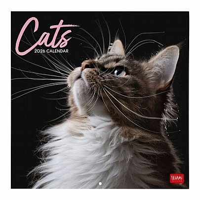 Μηνιαίο Ημερολόγιο Τοίχου 2026 - Sweet Cats (30x29) - Legami