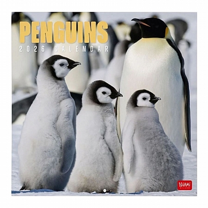 Μηνιαίο Ημερολόγιο Τοίχου 2026 - Penguins (30x29) - Legami