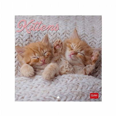 Μηνιαίο Ημερολόγιο Τοίχου 2026 - Kittens (18x18) - Legami Μηνιαίο Ημερολόγιο Τοίχου 2026 - Kittens (18x18) - Legami