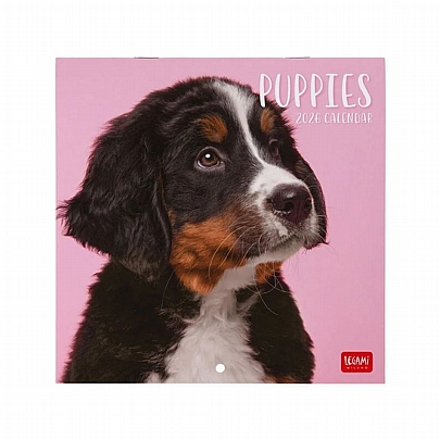 Μηνιαίο Ημερολόγιο Τοίχου 2026 - Puppies (18x18) - Legami