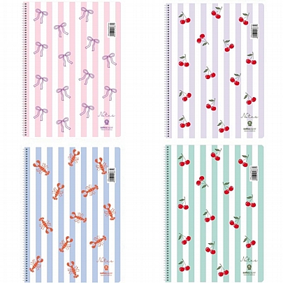 Τετράδιο Σπιράλ Β5 - 2 θέματα Notes (60Φ.) - Salkopaper
