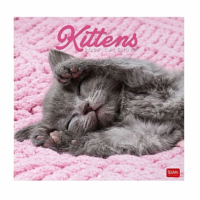 Μηνιαίο Ημερολόγιο Τοίχου 2027 - Kittens (30x29) - Legami