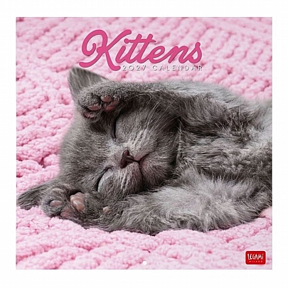 Μηνιαίο Ημερολόγιο Τοίχου 2027 - Kittens (30x29) - Legami