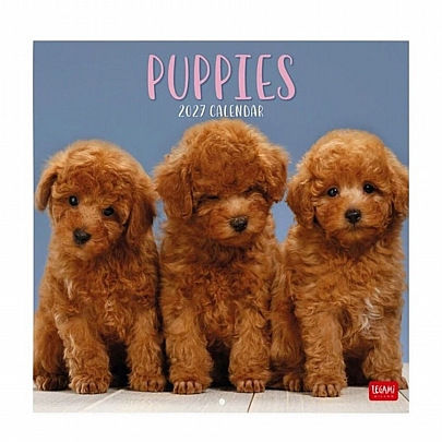 Μηνιαίο Ημερολόγιο Τοίχου 2027 - Puppies (30x29) - Legami