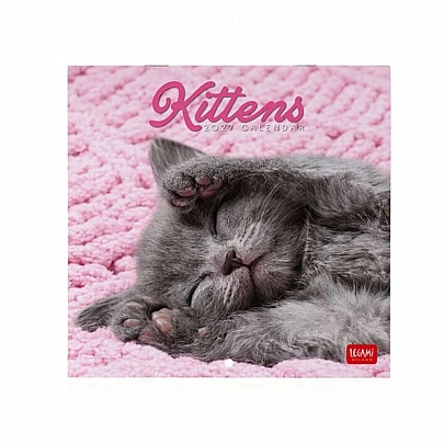 Μηνιαίο Ημερολόγιο Τοίχου 2027 - Kittens (18x18) - Legami