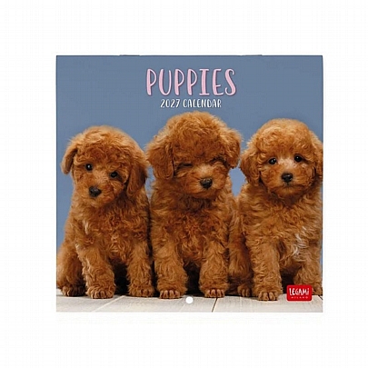 Μηνιαίο Ημερολόγιο Τοίχου 2027 - Puppies (18x18) - Legami